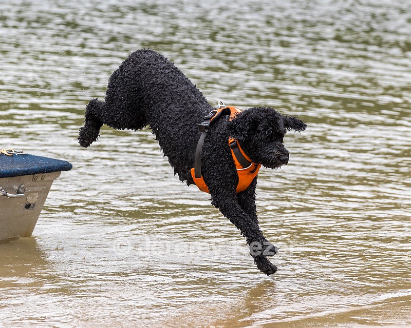 Coco McCann