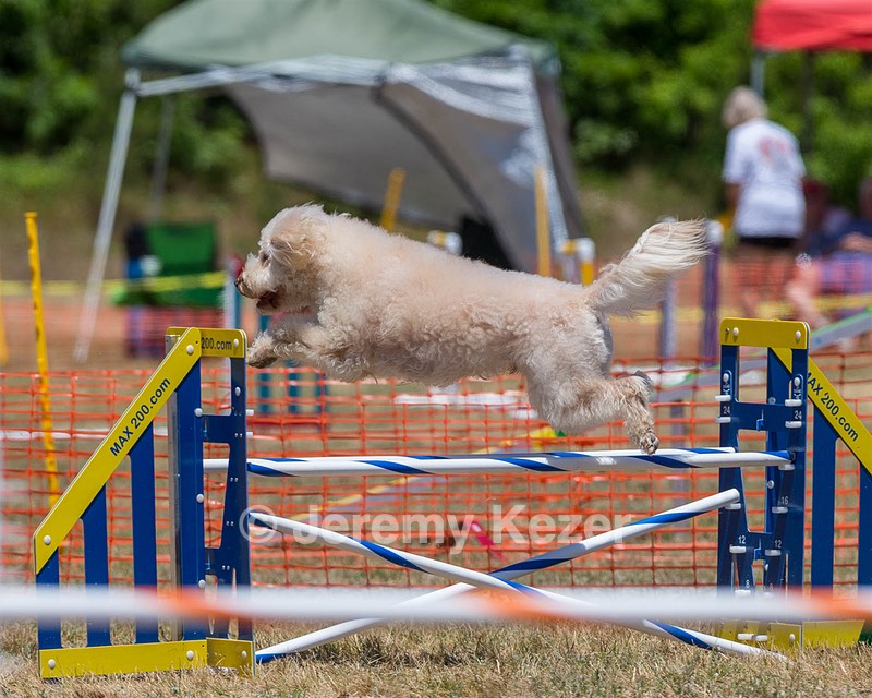 Jan Mikagawa