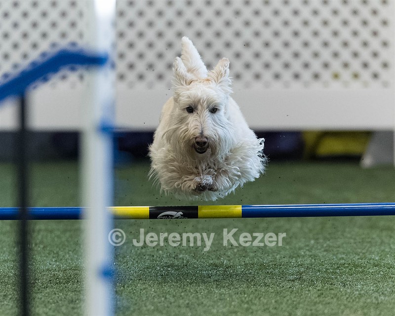Monty Krapf