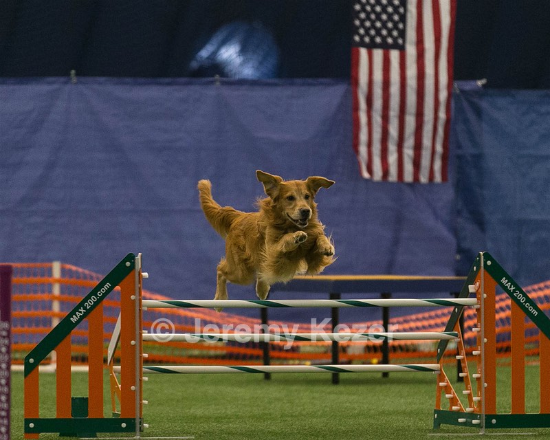 20150321-LEAP-0657.jpg