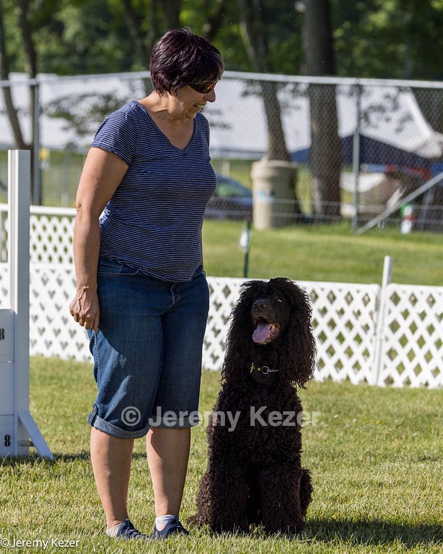 16 - GCH CH Chantico's Shelter From The Storm CD RA MX AXJ MXP2 MJP2 MJPB XF DS (Reef)