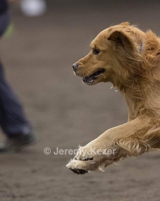 Pup-Pup Beaulieu
