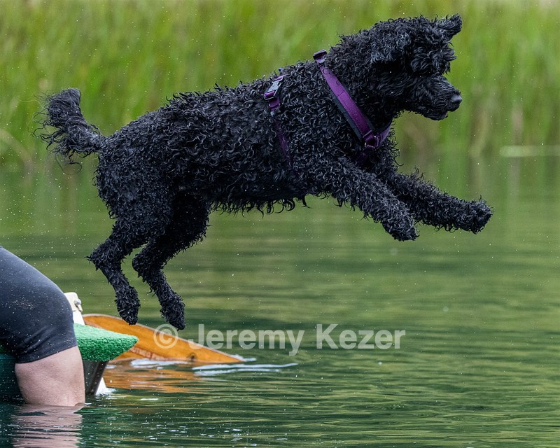 Xena Zussman