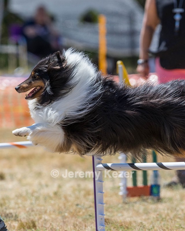 20160618-CCKC-1818.jpg