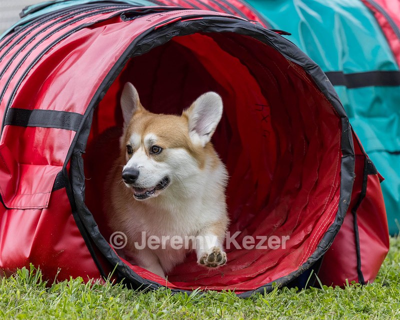 Honeypot Tripp