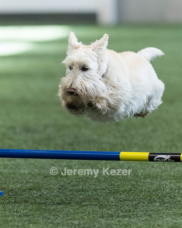 Monty Krapf