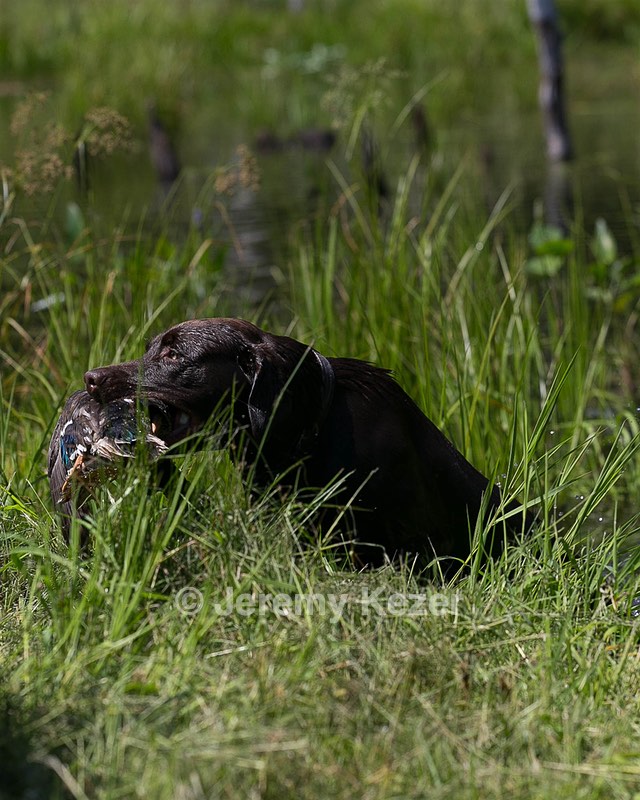 20140809-JHW-0036.jpg