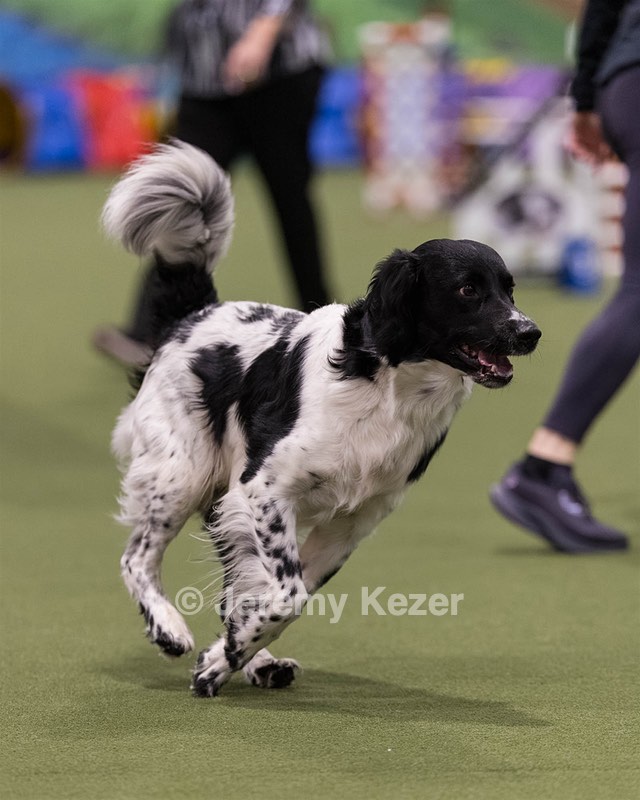 Kimber Hoverson