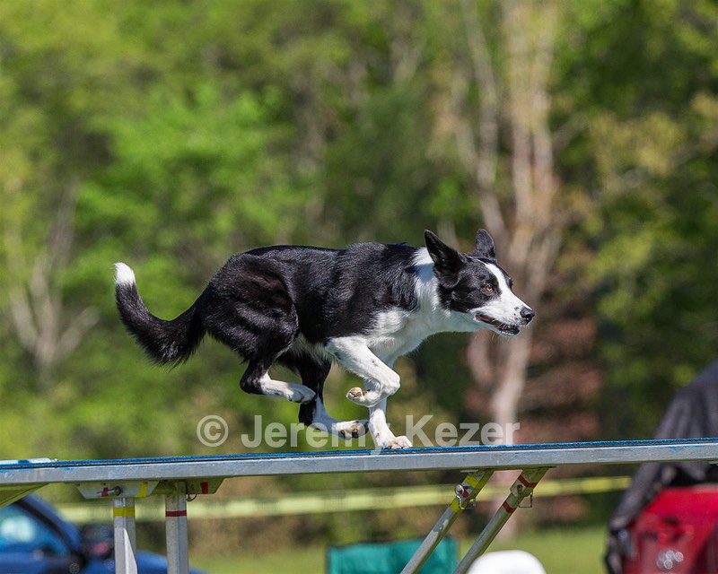 Zephyr Joe Swartzlander