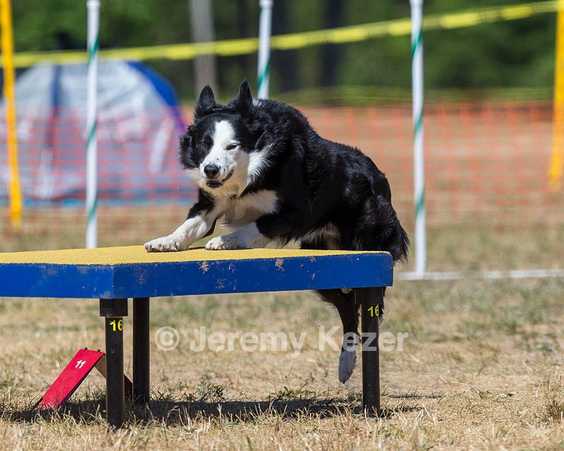 20160619-CCKC-1445.jpg