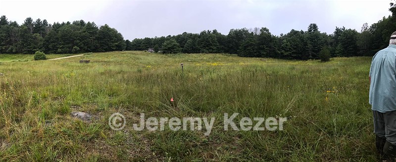 20190803-C-0001.jpg