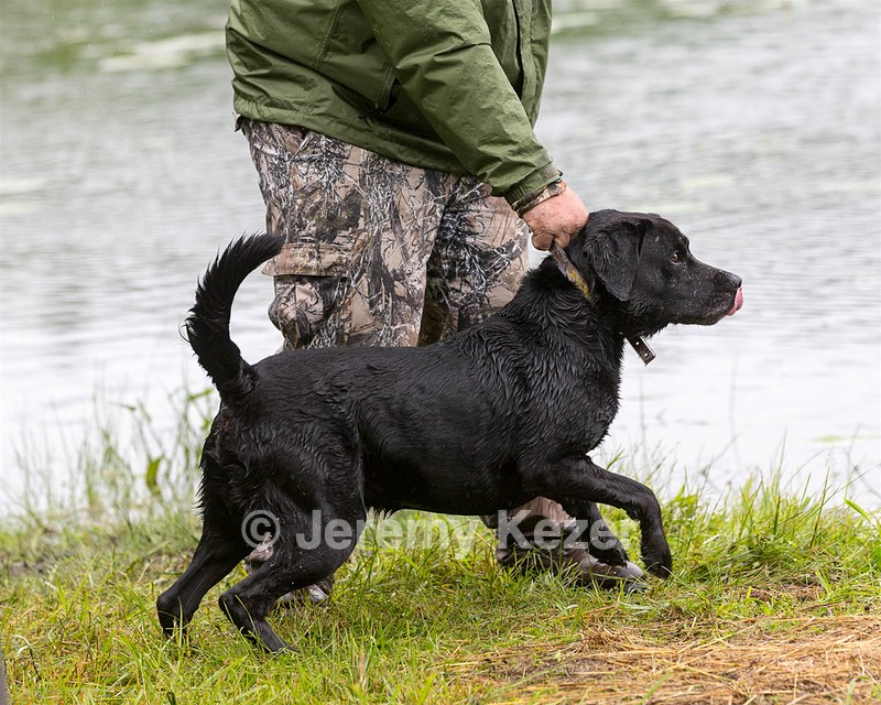 Buddy Bagley
