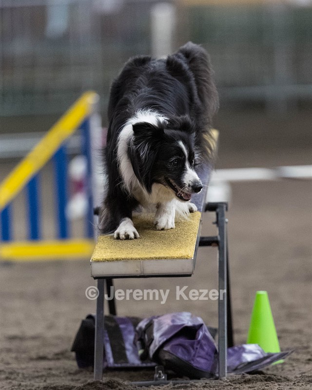 Breeze Schunk