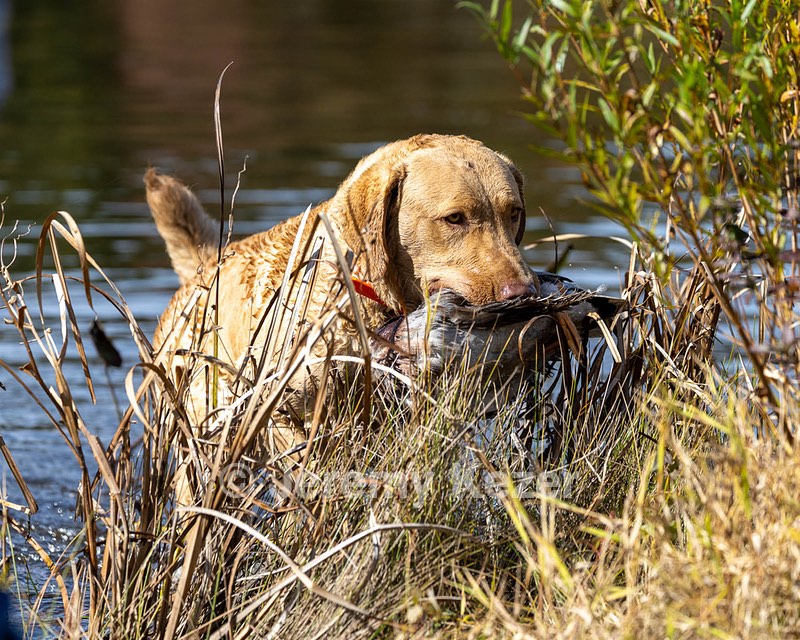 Creed Duda
