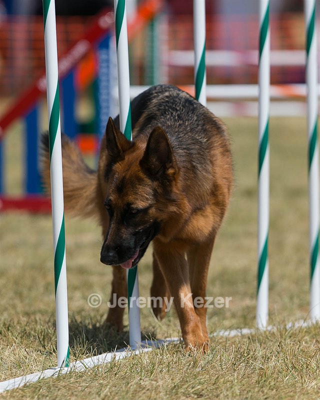 20150614-CCKC-1788.jpg