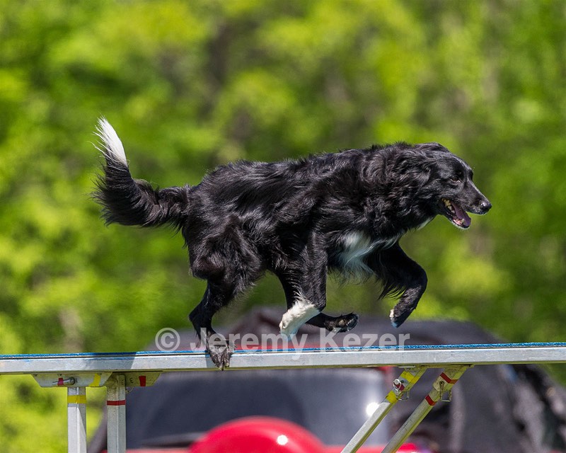 20170520-NEAT-0912.jpg