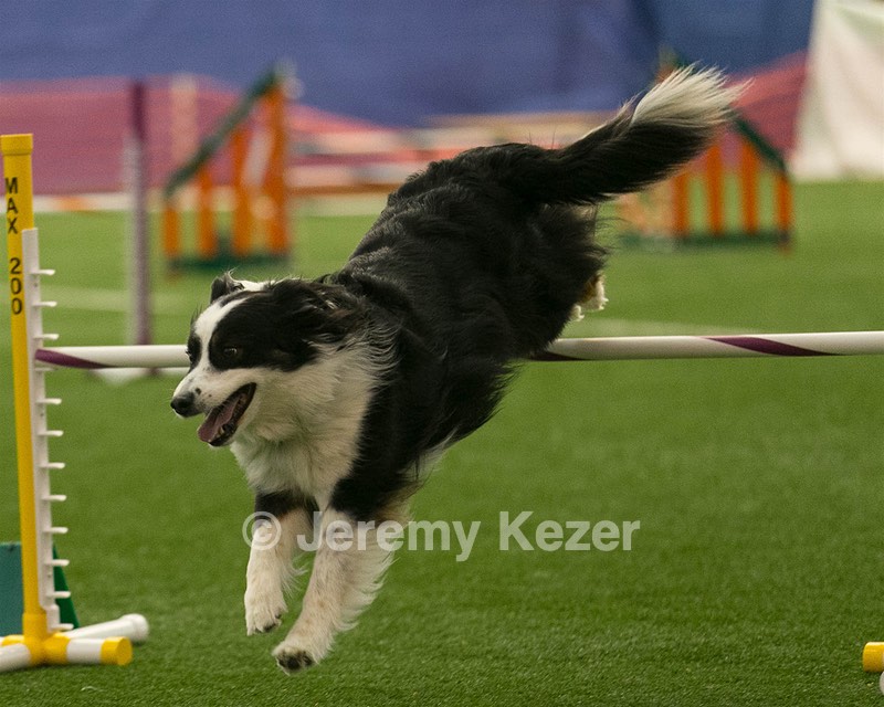 20150321-LEAP-1033.jpg