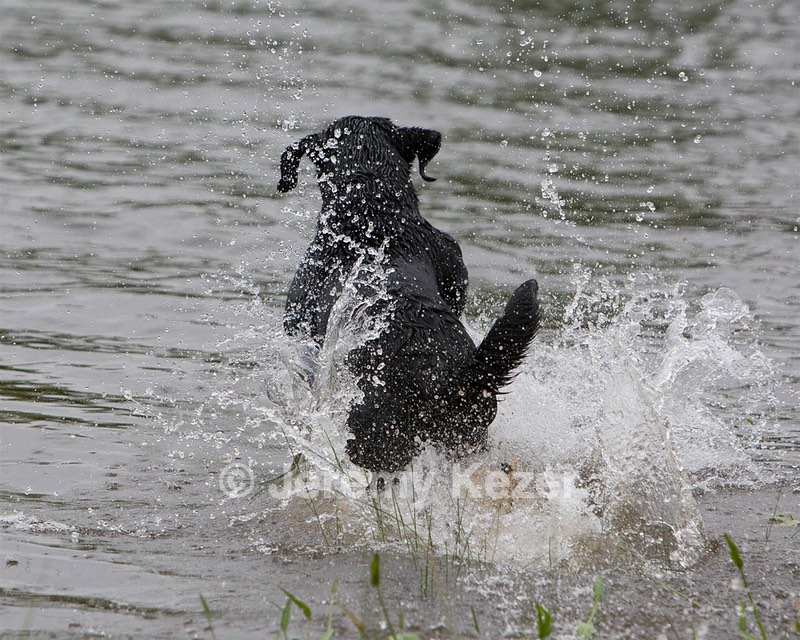 20080531-HRW-1011.jpg