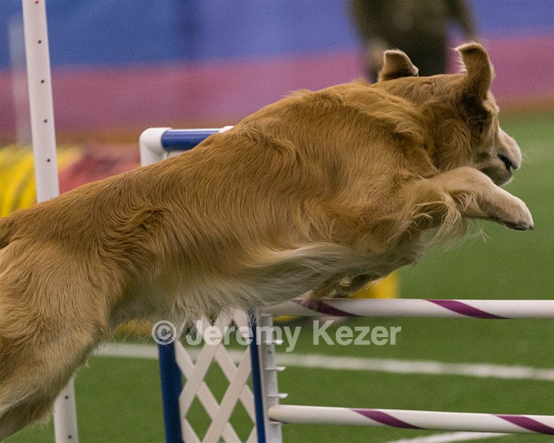 20150321-LEAP-0330.jpg