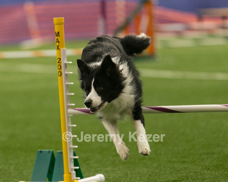 20150321-LEAP-1476.jpg