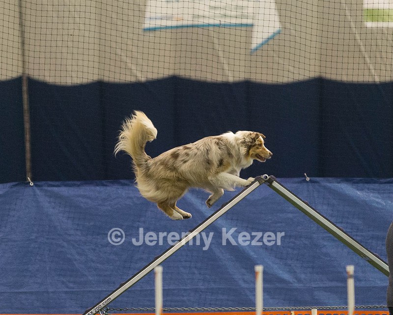 20150321-LEAP-0773.jpg