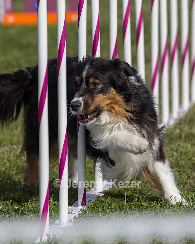 20230916-PVKC-1388.jpg