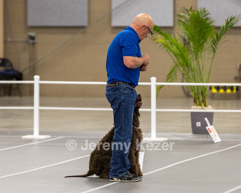 700 - GCH Blackthorn’s Lass That Loves A Sailor in Wicklow CD RM CGC