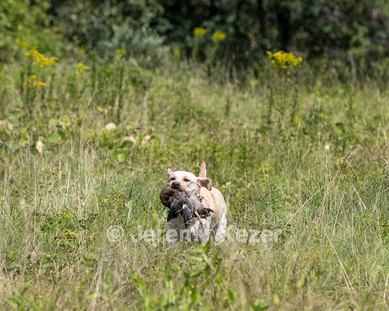 Moxie Duke