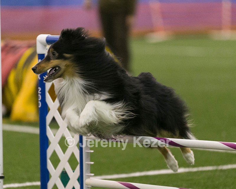 20150321-LEAP-0342.jpg