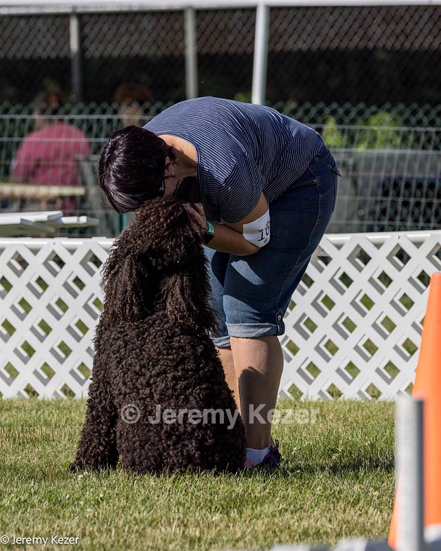 16 - GCH CH Chantico's Shelter From The Storm CD RA MX AXJ MXP2 MJP2 MJPB XF DS (Reef)