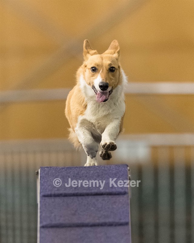 Skeet Jansen