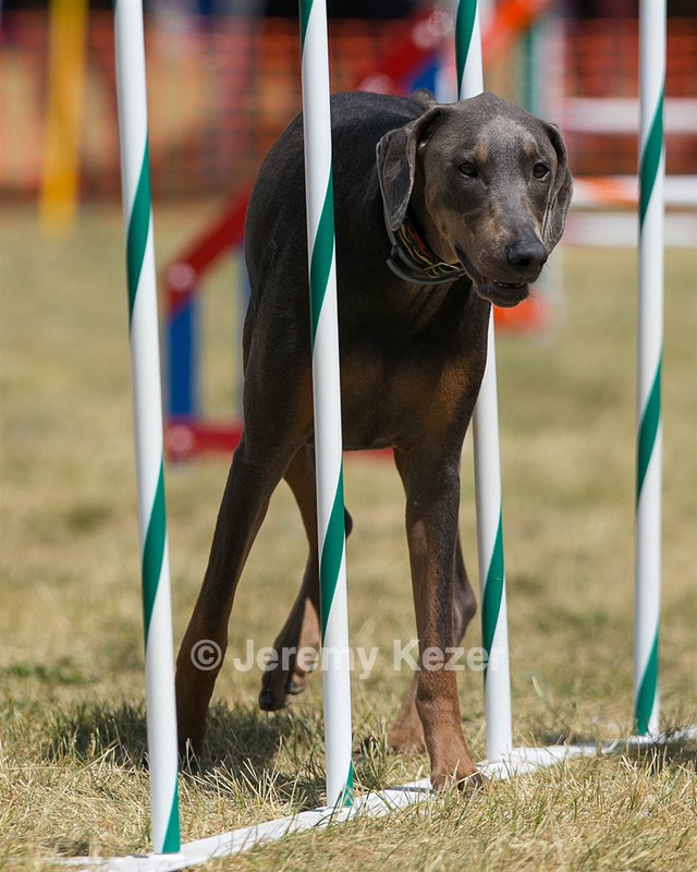 20150614-CCKC-1780.jpg
