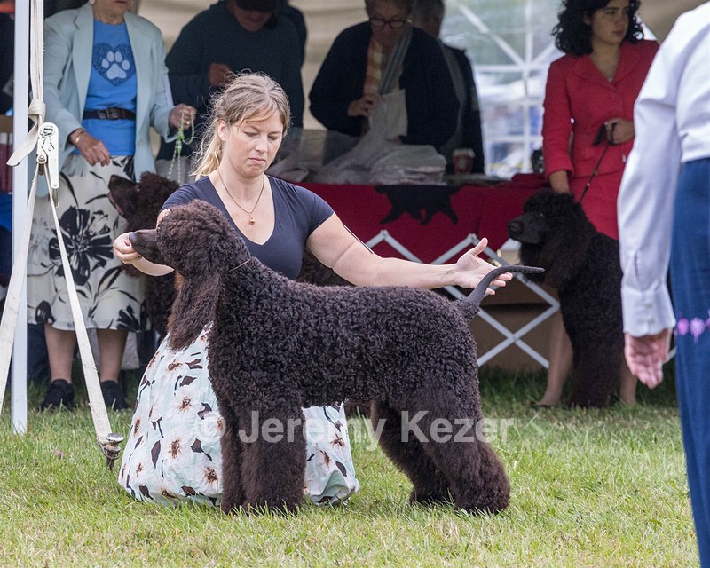 24 - POOLE'S IDE MODERN LOVE CGC (Remi)