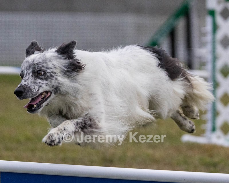 20230917-PVKC-3124.jpg