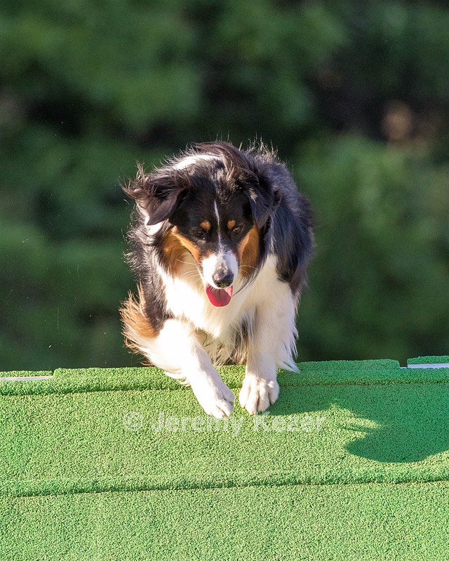 Kona Destremps