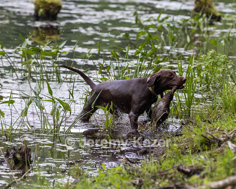 River Williams