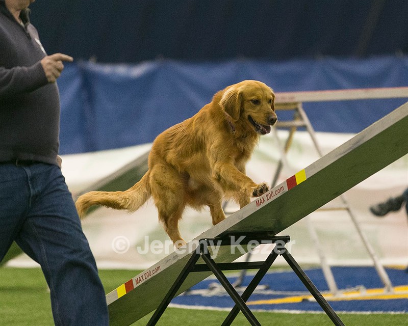 20150321-LEAP-0673.jpg