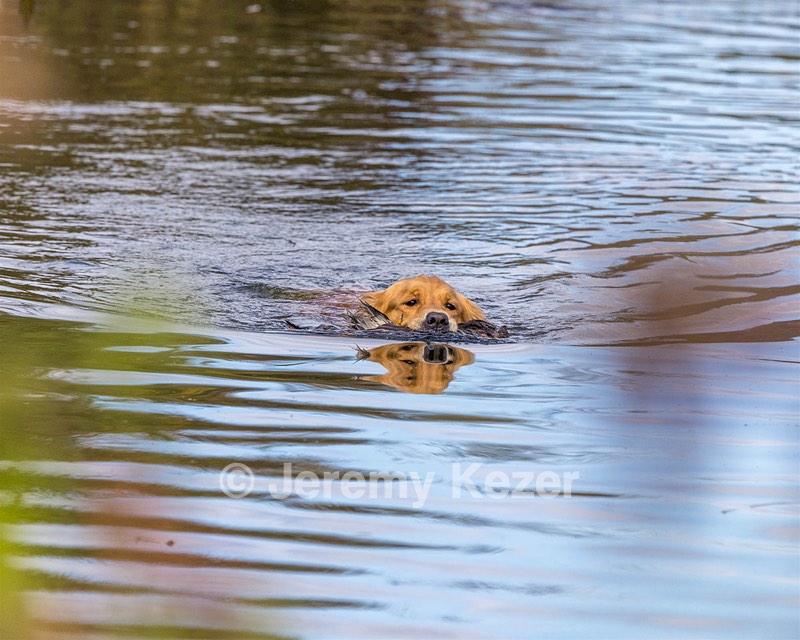 Sunny Wert