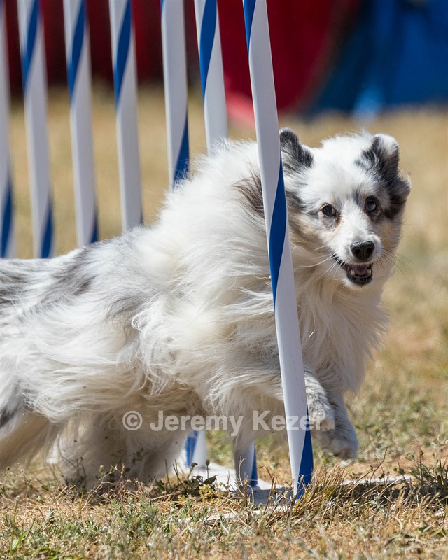 20160618-CCKC-1957.jpg