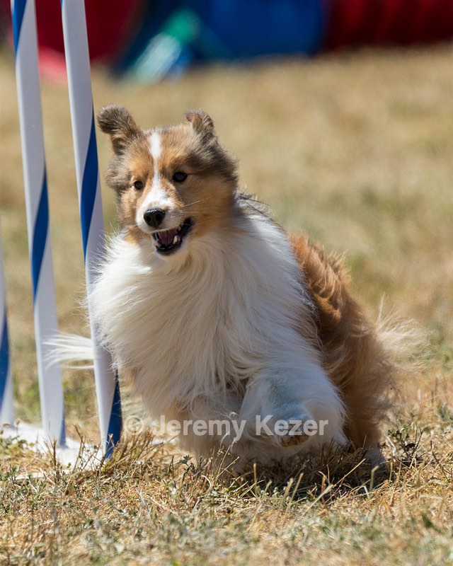 20160618-CCKC-1901.jpg