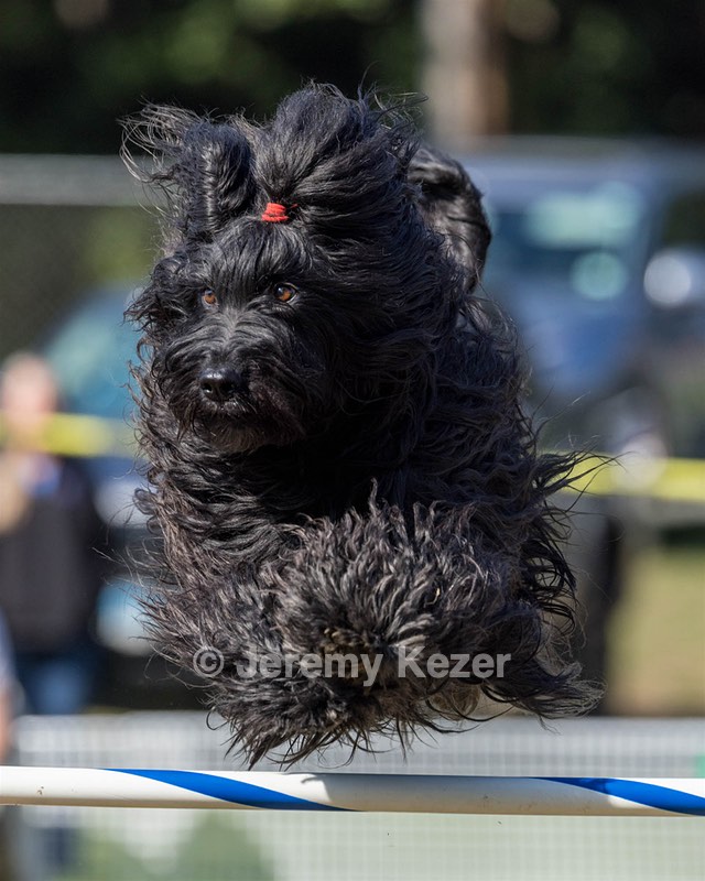 Snoopy Selkin