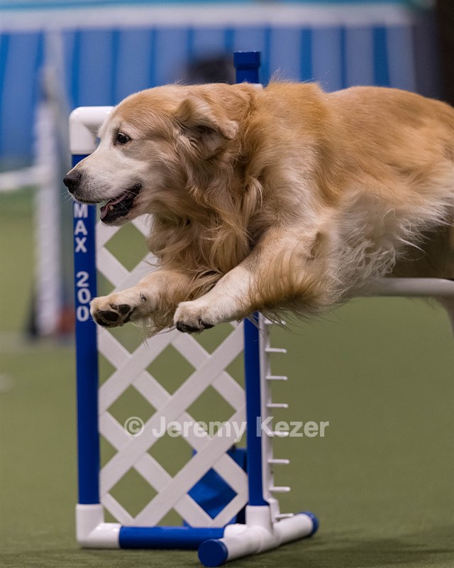 Tuukka Doughty