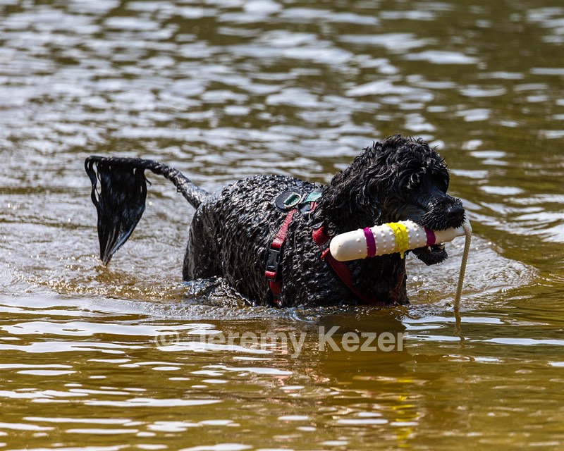 Rio Peter