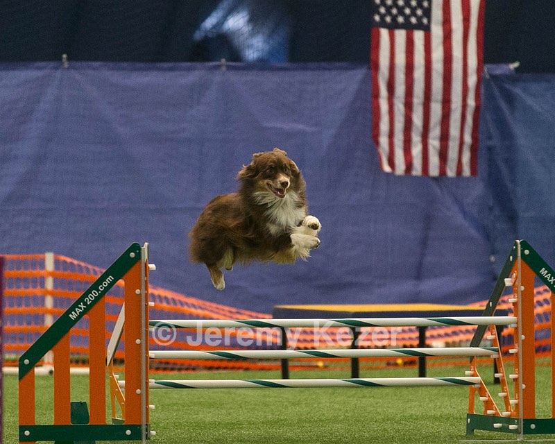 20150321-LEAP-0948.jpg