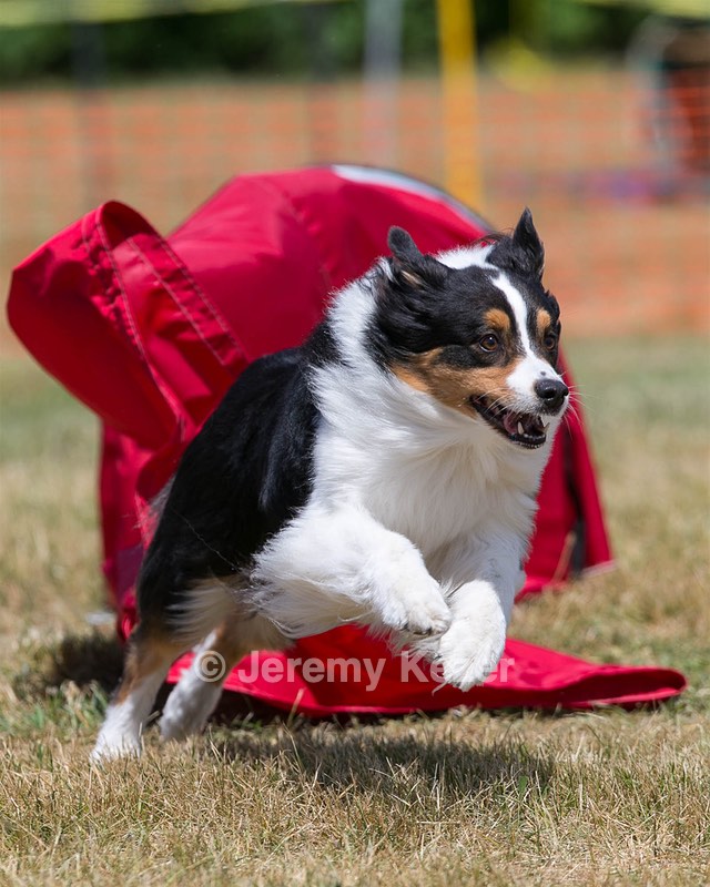 20150613-CCKC-0186.jpg