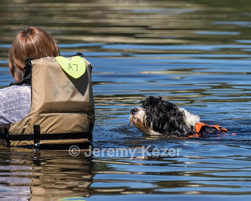 Piper Karen