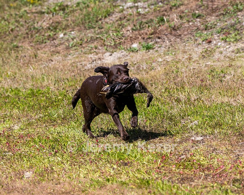 Winnie