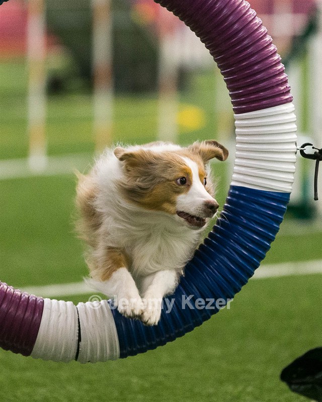 20150322-LEAP-0313.jpg