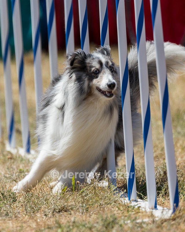 20160618-CCKC-1924.jpg