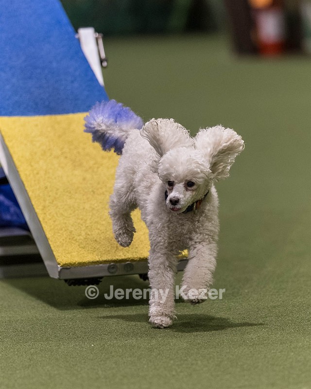 Bolt Kearney